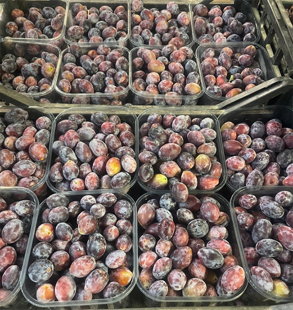 Susine Damaschine - Piemonte - 1/1,20 euro al chilogrammo